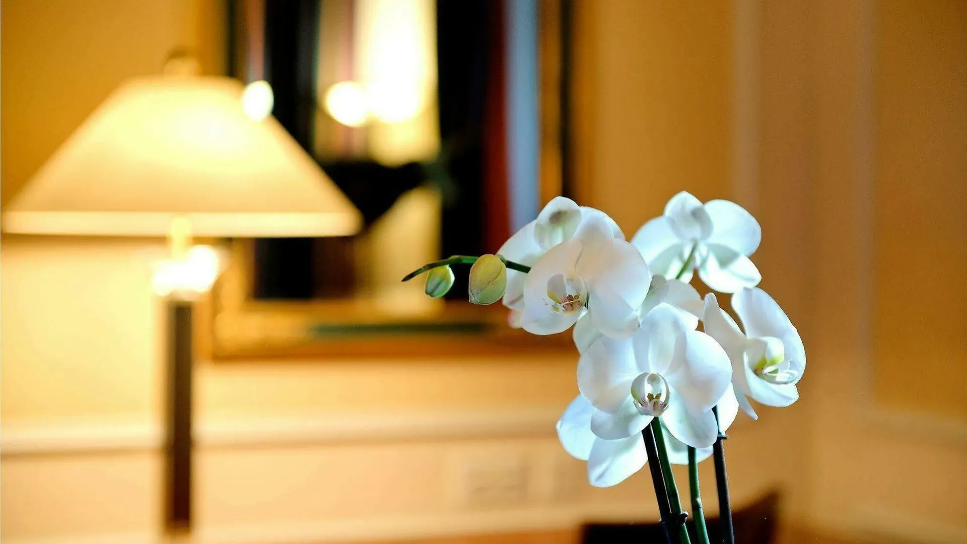 Hotel Schweizerhof Zürich